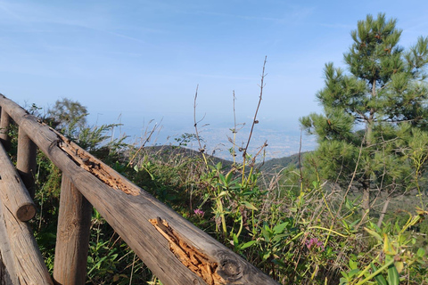 From Naples: Explore the Herculaneum Ruins and Vesuvius HERCULANEUM AND VESUVIUS: TOUR FROM NAPLES BY BUS