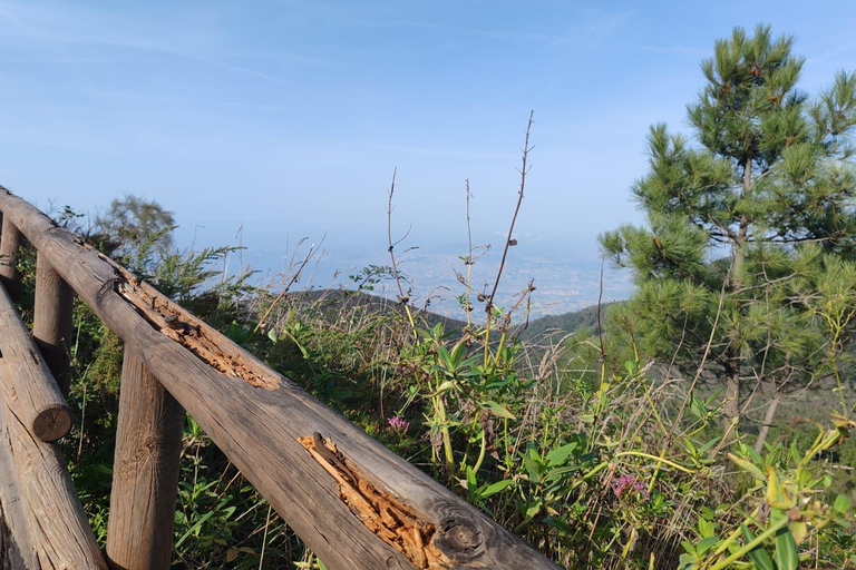 From Naples: Explore the Herculaneum Ruins and Vesuvius HERCULANEUM AND VESUVIUS: TOUR FROM NAPLES BY BUS