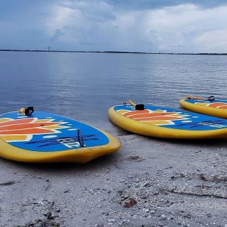 Titusville: Indian River & Mangrove Guided Paddleboat Tour