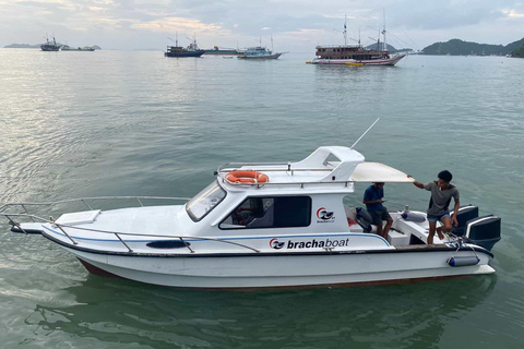 Dagtrip Ontdek Komodo National Park per privé speedboot