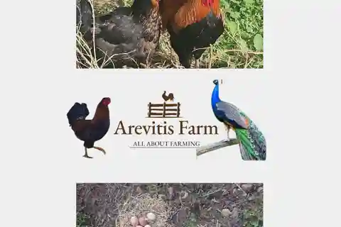 Be A Farmer for A Day in Arevitis Farm!