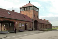De Krakow, Tour guiada de Auschwitz-Birkenau con transferencia - Housity