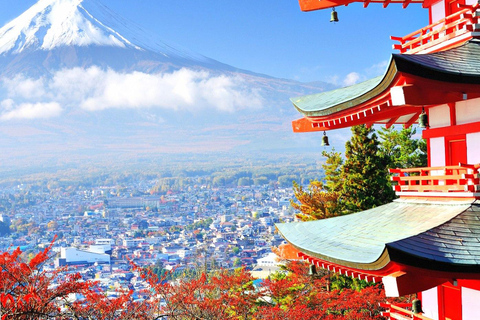 Tokyo : Excursion au Mont Fuji et à Hakone avec chauffeur anglophone