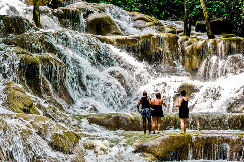 Ocho Rios: Dolphin Cove en Dunn&#039;s River Falls vanuit Mobay