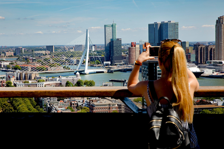 Rotterdam City Card: Discounts & Unlimited Public Transport 2-Day Rotterdam City Card + Unlimited Public Transport