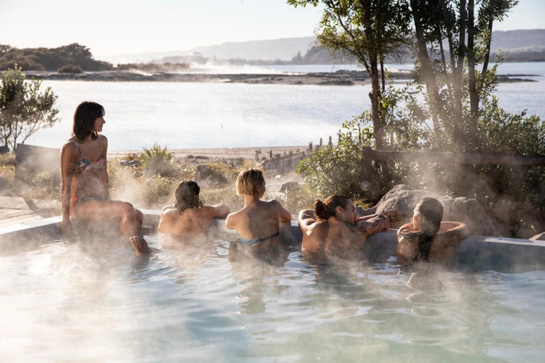 Au départ d'Auckland : Te Puia & Polynesian Spa Rotorua Day Tour