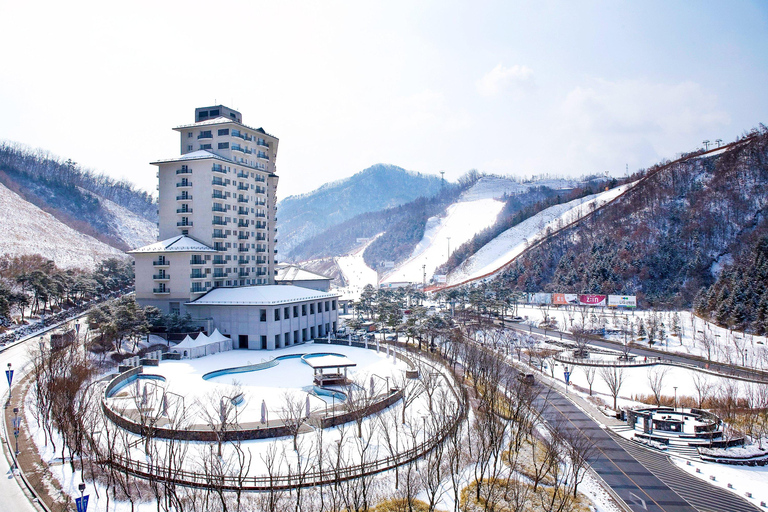 Elysian Ski Dagtocht (Kleding+Skiuitrusting+Basislessen)Vertrek vanaf Hongdae Station Afslag 8