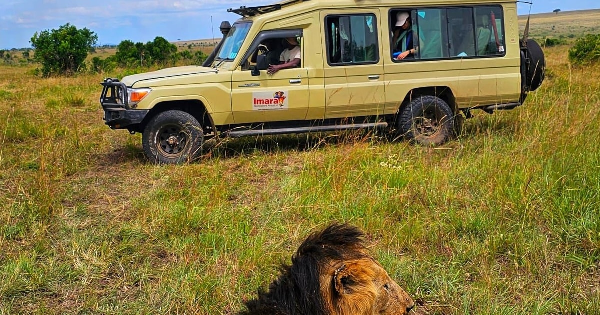 3Day Maasai Mara Budget Safari Tour Kenya 2024 2025 GetYourGuide