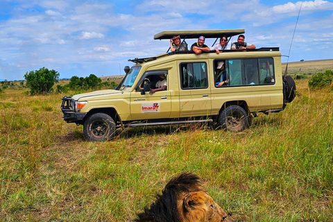 Safari económico de 3 días por Maasai Mara Kenia 2024 - 2025