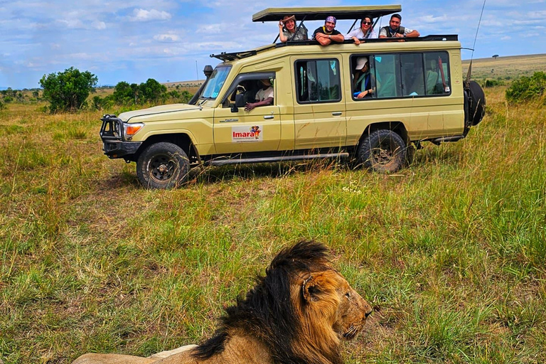 Safari económico de 3 días por Maasai Mara Kenia 2024 - 2025