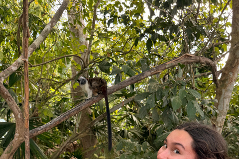 Panama City: Monkey Island & Gatun Lake Tour