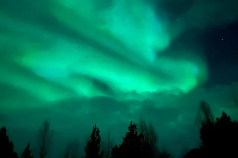 Tromsø: Northern Lights and a Starlit Adventure Tour