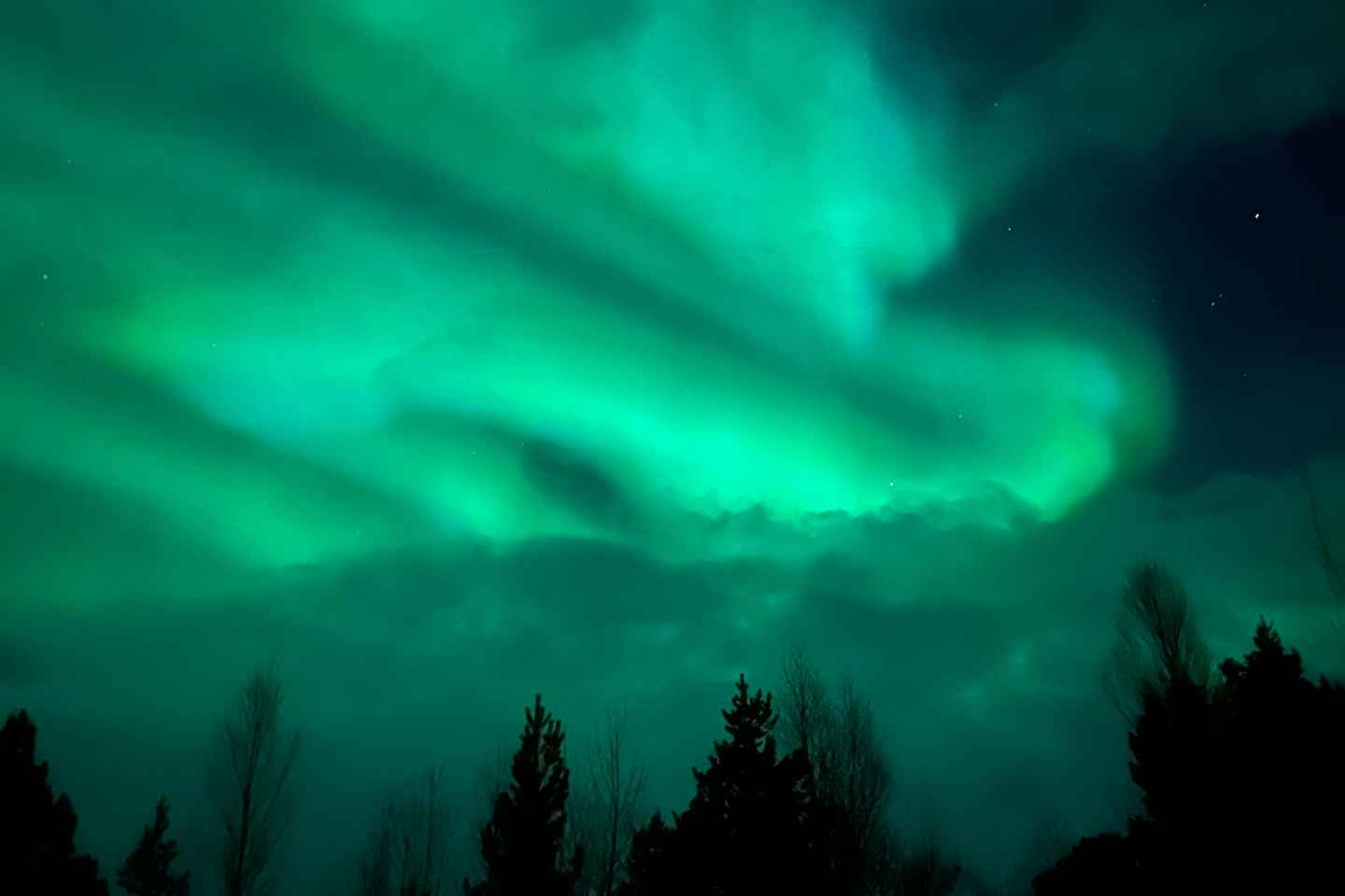 Troms: Northern Lights and a Starlit Adventure Tour - Tromsø: Northern Lights and a Starlit Adventure Tour