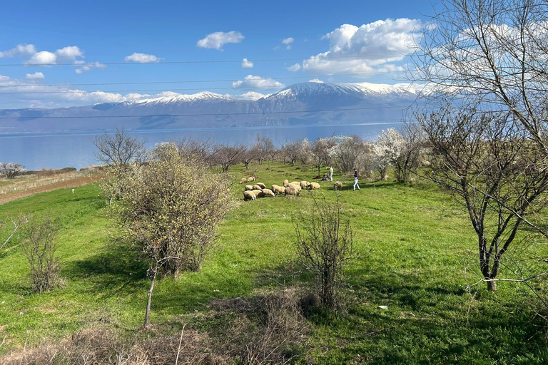 Cycling tour: Lake Ohrid E-Bike Tour