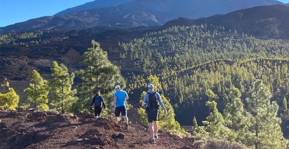 From Santa Cruz : Visit Teide National Park (for cruise-ship passengers)