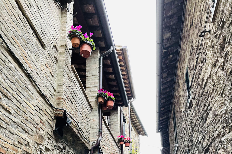 Assisi: Three Saints, St Carlo, Francis & Clare Walking Tour Spanish Tour