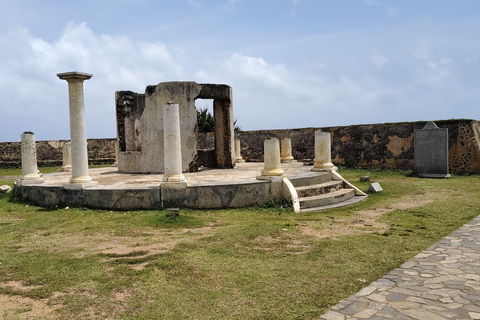 Sri Lanka: 10-Day Wildlife, Culture & Scenic Adventure