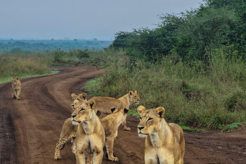 Nairobi: National Park Photography Expedition with Guide
