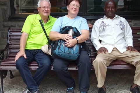 Nairobi : visite à pied sur le thème de l'art et de la culture dans le quartier des affaires