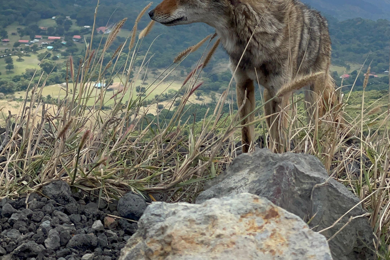 Santa Ana : volcan Ilamatepec (Santa Ana) et visite du lac de Coatepeque.