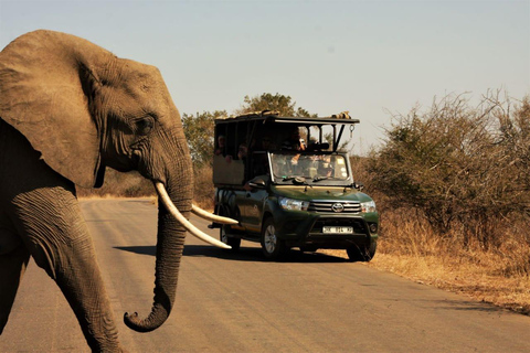 From Durban: Game drive at Hluhluwe-iMfolozi Park Big 5