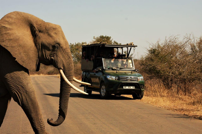 From Durban: Game drive at Hluhluwe-iMfolozi Park Big 5