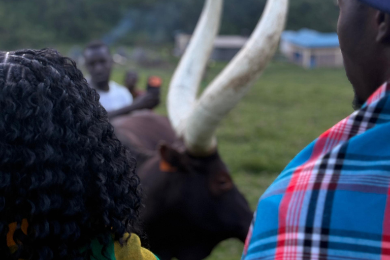 Kigali: Bigogwe, Lake Kivu & Dian Fossey Campus 2-Day Tour