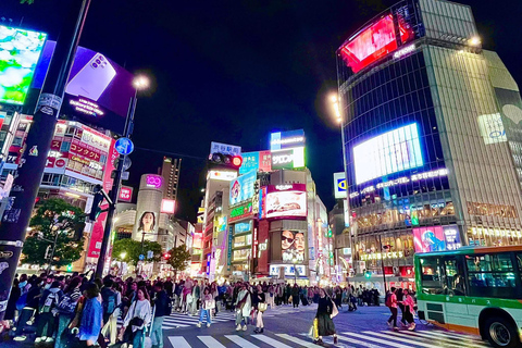Tokyo Prestige: Luxury Chauffeur Tour with Private Guide 10 Hours Customized Tokyo Tour in Luxury Alford or Vellfire