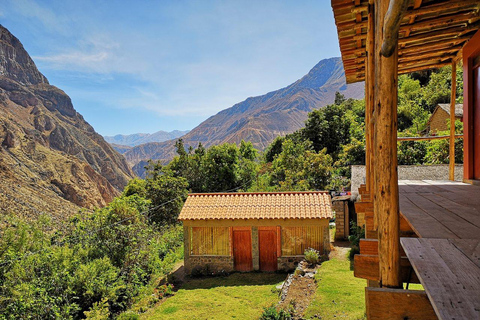 From Arequipa Trek : 2-Days Hike inside the Colca Canyon