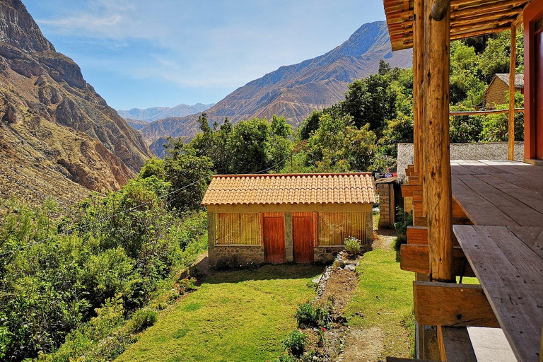 From Arequipa Trek : 2-Days Hike inside the Colca Canyon