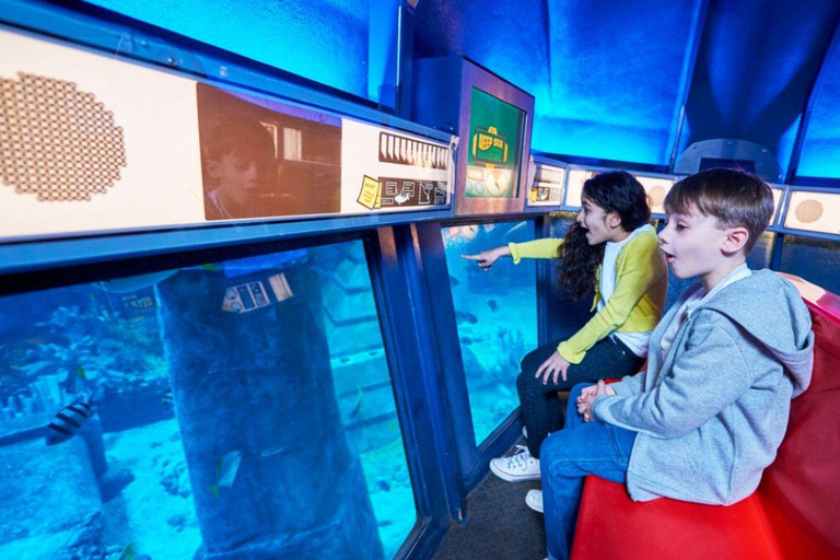 London: LEGOLAND® Windsor Resort Private Day Trip