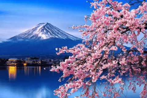 Depuis Tokyo : Excursion privée d&#039;une journée au Mont Fuji et à HakoneVisite en bus partagée du Mont Fuji