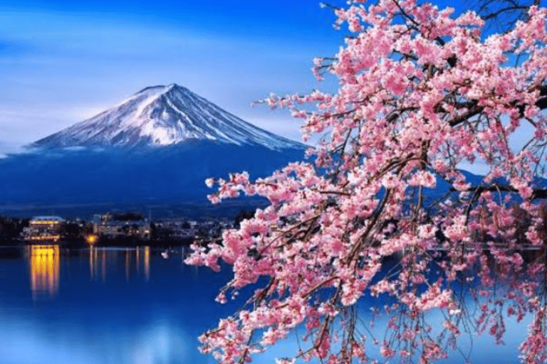 Depuis Tokyo : Excursion privée d&#039;une journée au Mont Fuji et à HakoneVisite en bus partagée du Mont Fuji