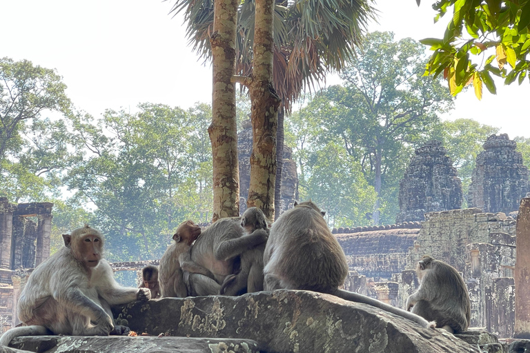 Siem Reap: Experiência particular do nascer do sol em Angkor Wat