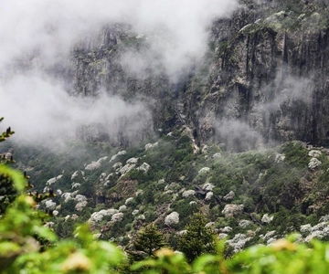 Kunming: Jiaozi (Sedan Chair) Snow Mountain Hiking Day Trip