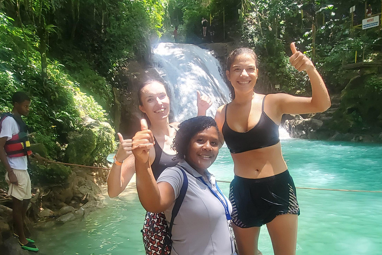 Von Montego Bay aus: Blue Hole Wasserfall ErlebnisStandard Option