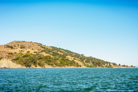 São Francisco: Bay Sailing Tour com bebidasSão Francisco: excursão de champanhe e mimosa Golden Gate de 2 horas