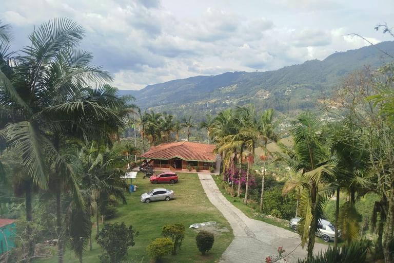 Medellín: Trekking and nature adventure at the Chorro de Campanas waterfall Medellín: Trekking and Nature Adventure at the Chorro de Campanas Waterfall