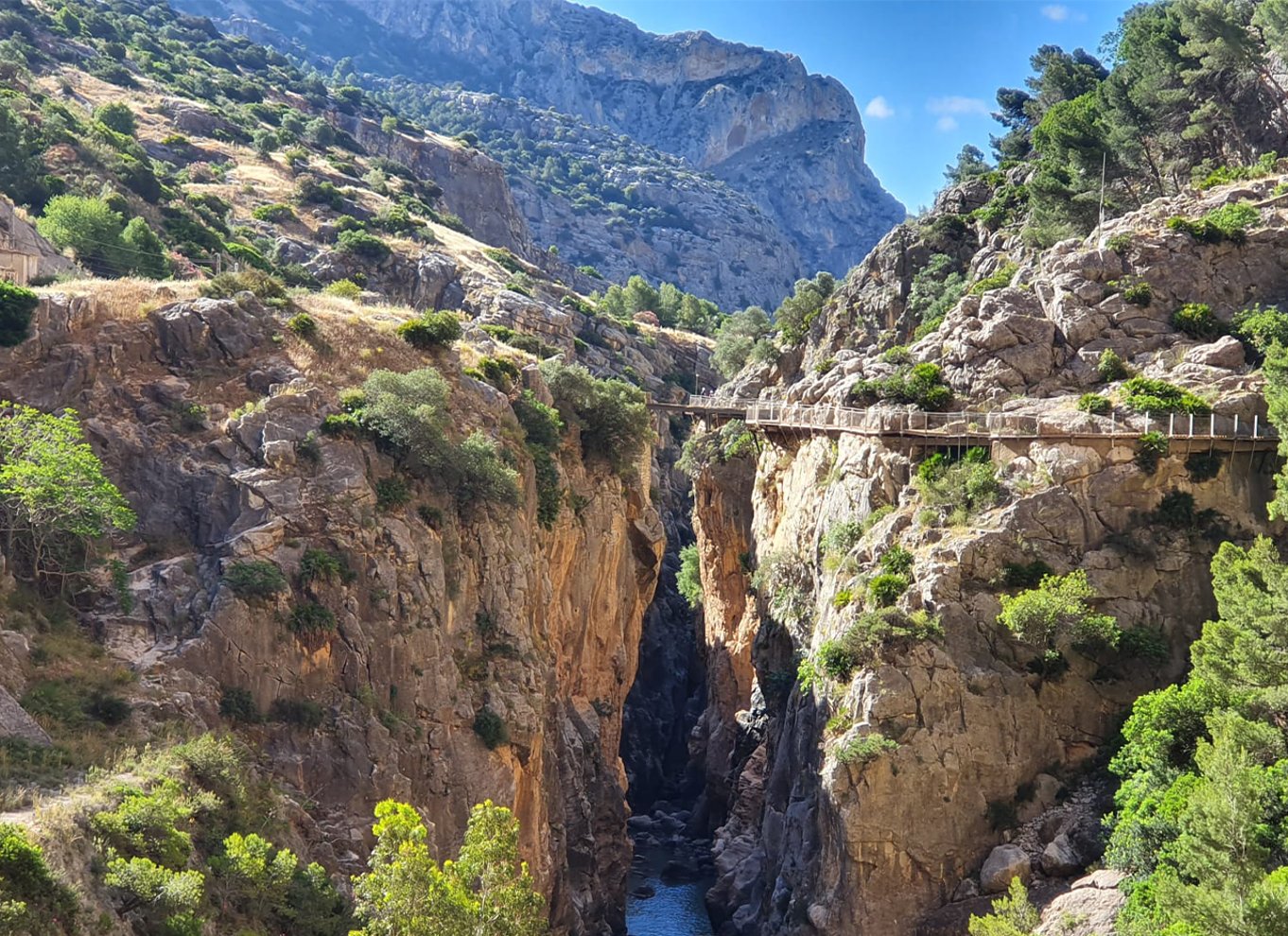 Málaga: Caminito del Rey guidet tur med transport