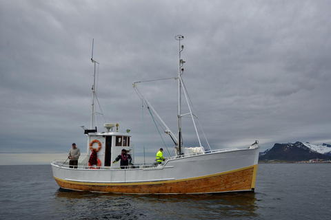 Svolvær: Fishing Trip on the Lofoten Sea