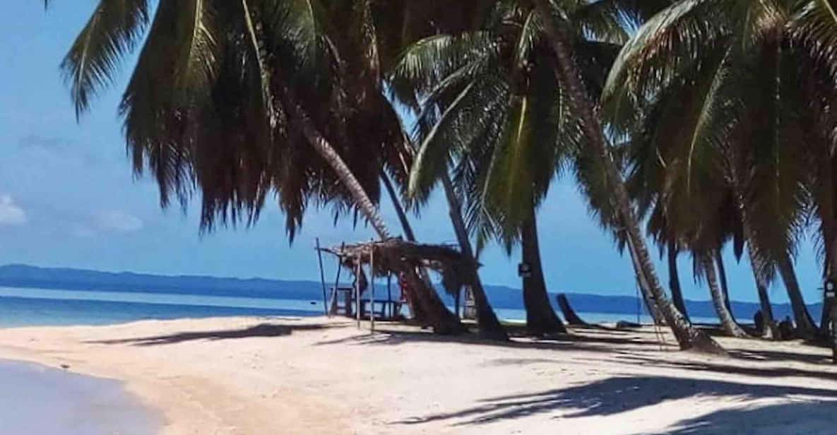 Galería de fotos para redes