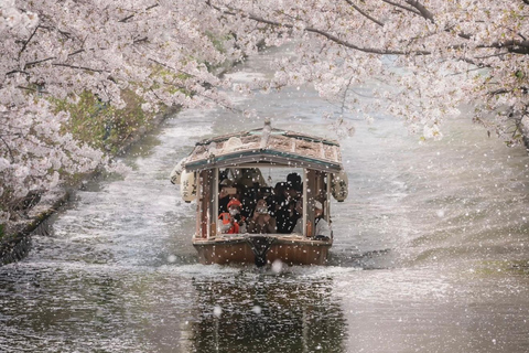 Kyoto Spring Cherry Blossom Day Tour Boat experience option