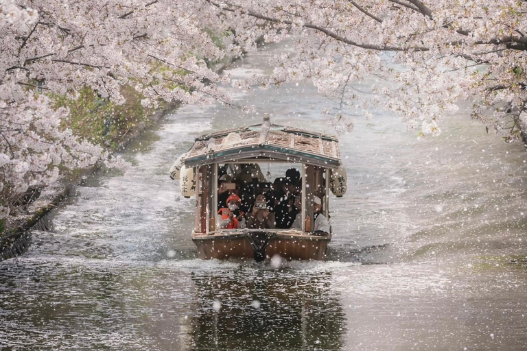 Kyoto Spring Cherry Blossom Day Tour Boat experience option