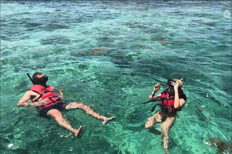 Aventura en Lancha Rápida y Snorkel desde Punta Cana