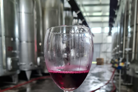 Tbilisi: Kakheti Wine Tasting & Sighnaghi Private Tour