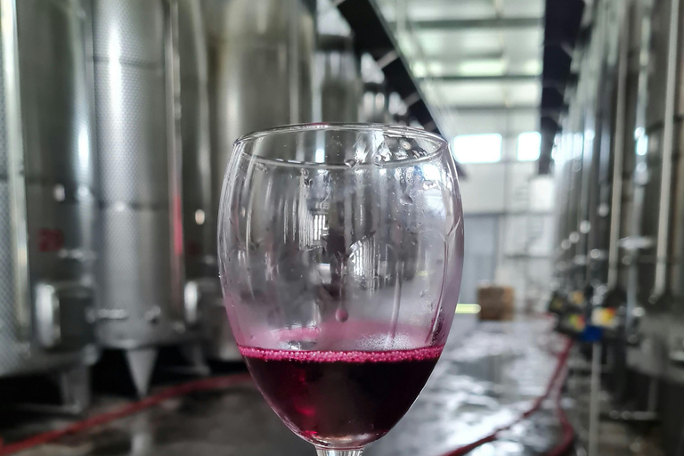 Tbilisi: Kakheti Wine Tasting & Sighnaghi Private Tour