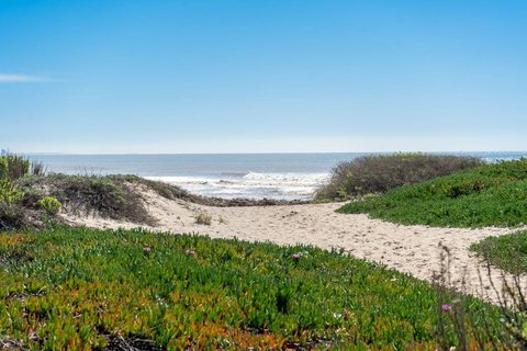 洛杉矶：马里布私人一日游