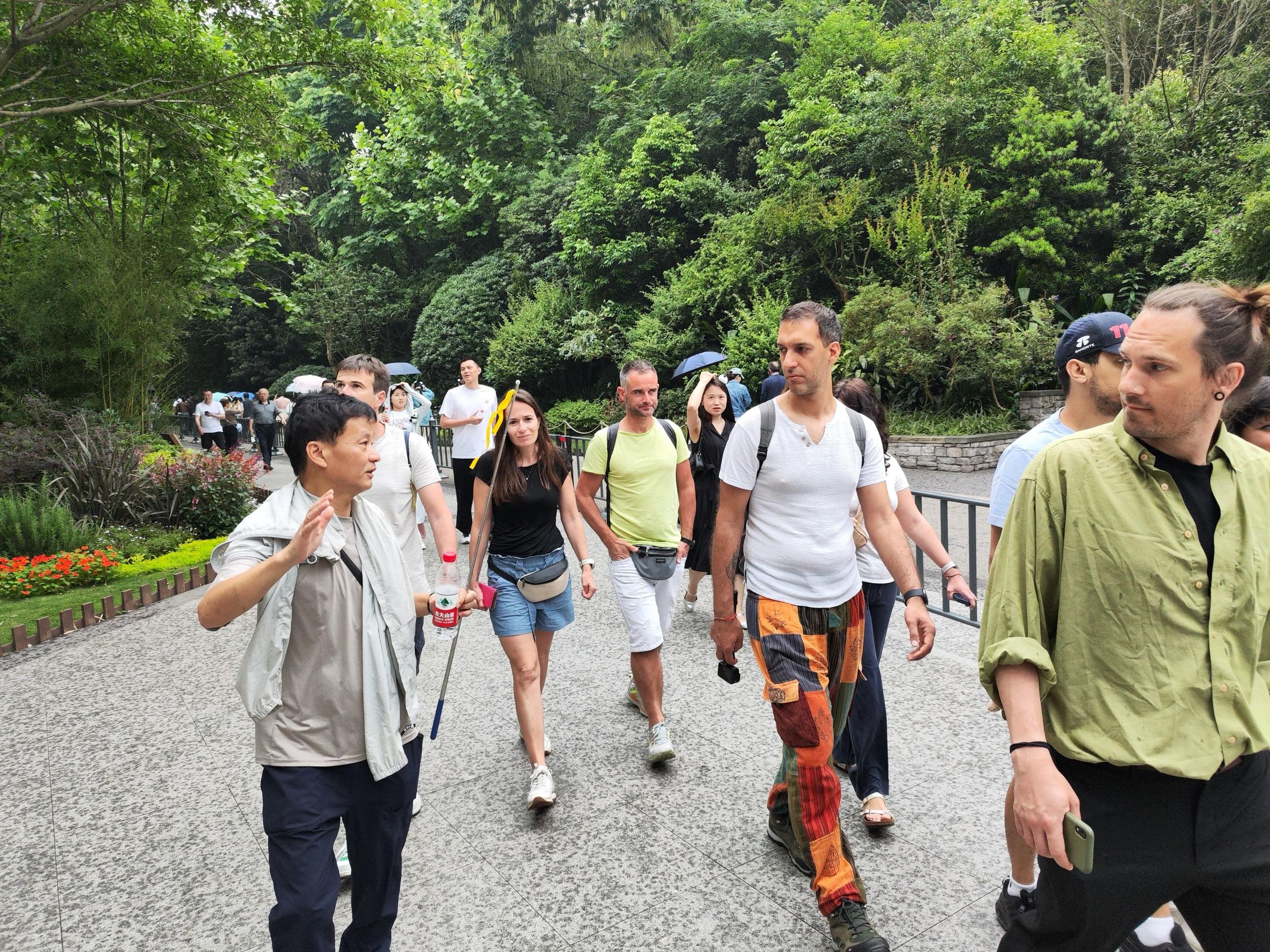 Chengdu: Halbtagestour zur Panda-Station oder Tagestour zu Pandas & Buddha