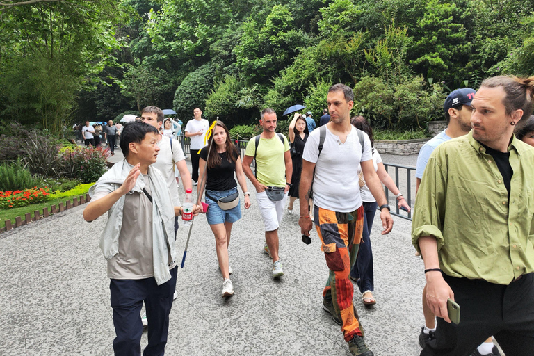 Excursion d&#039;une journée dans la région panoramique du Grand Bouddha de Leshan et dans le parc des pandas