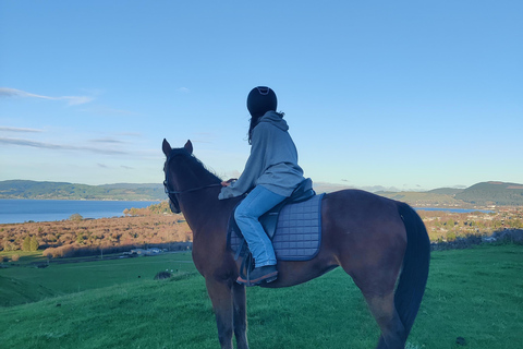 Rotorua: passeggiata a cavallo panoramicaRotorua: escursione panoramica a cavallo